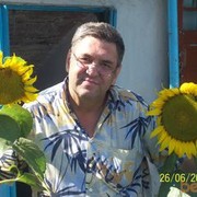  ,   , 66 ,  