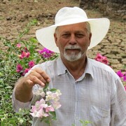  Grimma,   IHOR, 79 ,   ,   , c 