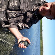 ���������� ������ ��������, ���� ������� �������, 43 ����, ������������ ��� ������, ����� � ���������