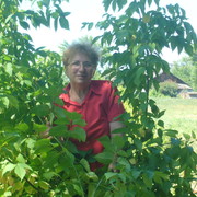 ���������� �������, ���� ������� �����, 77 ���, ������������ ��� ����� � ���������, c�������� ���������