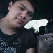 ���������� �����������, ���� ������� �����, 34 ����, ������������ ��� ������, ����� � ���������, c�������� ���������