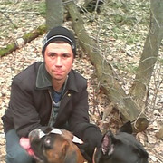 ���������� �������, ���� ������� ������, 38 ���, ������������ ��� ������, ����� � ���������, c�������� ���������