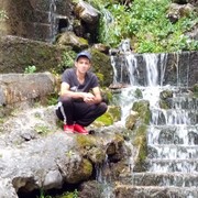  ,   , 43 ,   