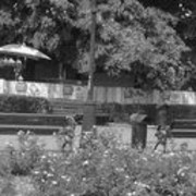 ���������� ������-��-����, ���� ������� �������, 35 ���, ������������ ��� ������, ����� � ���������, c�������� ���������