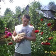  ,   , 58 ,   