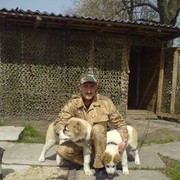 ���������� ����, ���� ������� ����, 53 ����, ������������ 