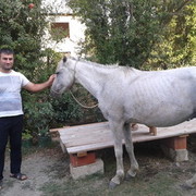 ���������� ����, ���� ������� Emin, 42 ����, ������������ ��� ���������