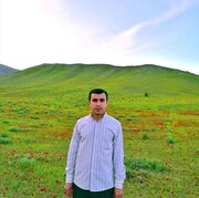 ���������� ������, ���� ������� �������, 31 ���, ������������ ��� ������, ����� � ���������, c�������� ���������, ���������