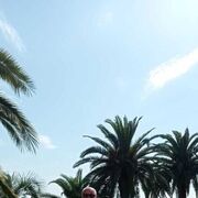 ���������� ����, ���� ������� ��������, 50 ���, ������������ ��� ������, ����� � ���������, c�������� ���������, ���������