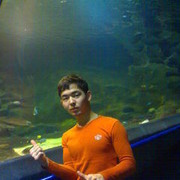 ���������� ������, ���� ������� �����, 33 ����, ������������ ��� ������