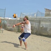  -,   Dmitry, 39 ,   ,   