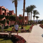 ���������� ������, ���� ������� ����, 51 ���, ������������ ��� c�������� ���������