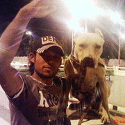  ,   MetiS, 39 ,   ,   