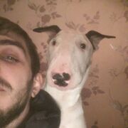 ���������� ������, ���� ������� ����, 36 ���, ������������ ��� ������, ����� � ���������, c�������� ���������, ���������