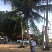  ,   , 49 ,   ,   , c 