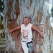  -,   , 54 ,   