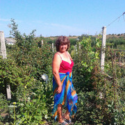  ,   , 55 ,  