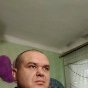 ���������� �����-���������, ���� ������� �������, 43 ����, ������������ 