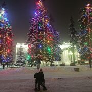 ���������� �������, ���� ������� �����, 48 ���, ������������ ��� c�������� ���������