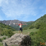  ,   Maus_2010, 37 ,   