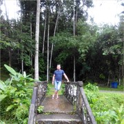 ���������� �����������, ���� ������� �������, 40 ���, ������������ ��� ������, ����� � ���������, c�������� ���������