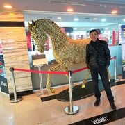  ,   , 46 ,   ,   