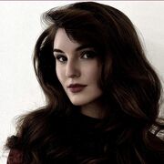 ���������� ������������, ������