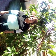  ,   , 52 ,   ,   , c 