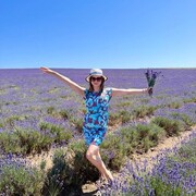 ���������� ������, ���� ������� ���, 40 ���, ������������ ��� ����� � ���������, c�������� ���������