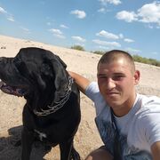 ���������� ��������, ���� ������� �������, 29 ���, ������������ ��� ������, ����� � ���������, c�������� ���������