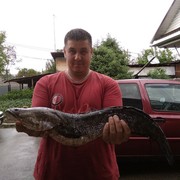 ����� �������