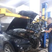 ���������� ���, ���� ������� �����, 39 ���, ������������ ��� ������, ����� � ���������