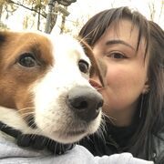 ���������� ������, ���� ������� ���, 40 ���, ������������ ��� c�������� ���������