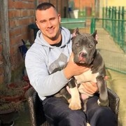 ���������� ������, ���� ������� ���������, 31 ���, ������������ ��� ������, ����� � ���������