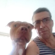 ���������� ������, ���� ������� ���������, 66 ���, ������������ ��� ������, ����� � ���������