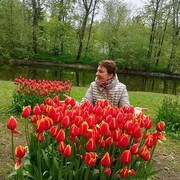 ���������� �����������, ���� ������� ����, 61 ���, ������������ ��� ������, ����� � ���������