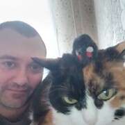 ���������� �����������, ���� ������� ������, 37 ���, ������������ ��� ������, ����� � ���������, c�������� ���������, ���������