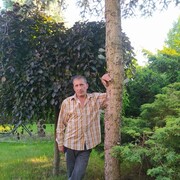  Swiebodzice,  , 52