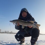 ���������� �����, ���� ������� �������, 37 ���, ������������ ��� ������, ����� � ���������