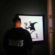 ���������� ���������, ���� ������� ���������, 32 ����, ������������ ��� ������, ����� � ���������