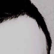 ���������� �����, ���� ������� �����, 36 ���, ������������ ��� ������, ����� � ���������, c�������� ���������