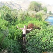  ,   , 31 ,   ,   , c 