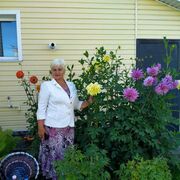 ���������� ������, ���� ������� ���������, 65 ���, ������������ ��� ����� � ���������, c�������� ���������