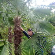  ,   Garik, 43 ,   ,   , c 