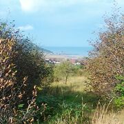 ���������� ����-���������, ���� ������� ������, 40 ���, ������������ ��� ������, ����� � ���������