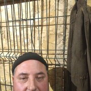 ���������� �����-���������, ���� ������� ������, 52 ����, ������������ ��� ������, ����� � ���������