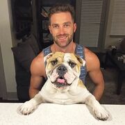 ���������� ������, ���� ������� ���������, 38 ���, ������������ ��� ������, ����� � ���������, c�������� ���������