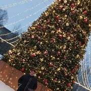 ���������� �����������, ������� ��������, 57