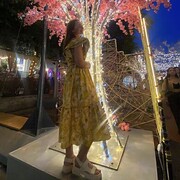 ���������� �����������, ���� ������� ����, 33 ����, ������������ ��� ����� � ���������, c�������� ���������, ���������