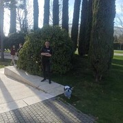 ���������� ���������, ���� ������� ��������, 37 ���, ������������ ��� c�������� ���������